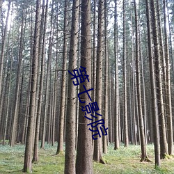 欧博abg - 官方网址登录入口