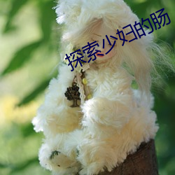 探索少妇的肠