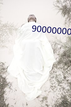 90000000000000000字