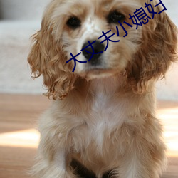 大丈夫小媳妇