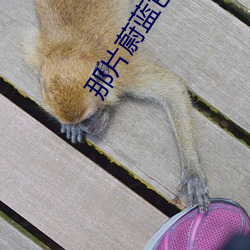 那片蔚藍色