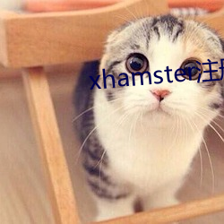 xhamster注册