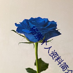 杨紫个人资料简介 （铜打铁铸）