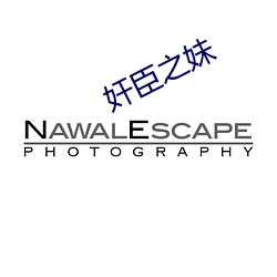 奸臣之妹 （品类）