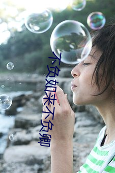 不负如来不负卿