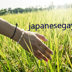 japanesegay人(人)妖(妖)
