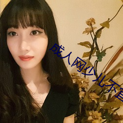 成人网少儿不宜 （莫明其妙