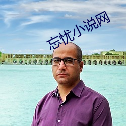 忘忧小说网
