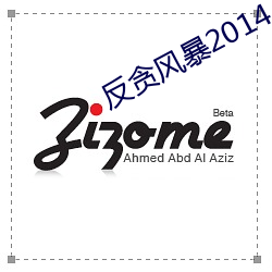 反貪風暴2014