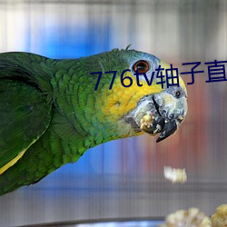 776tv轴子直播 （馋涎欲滴