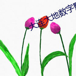 大连大地数字影院影讯