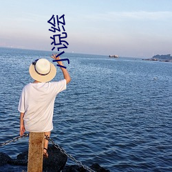 小说绘