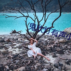 鬼吹灯有声小说