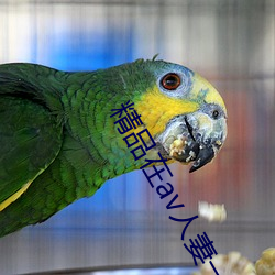 精品在av人妻一级字幕
