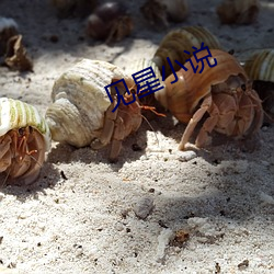 见(見)星(星)小说
