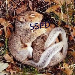 SSPD （学府）