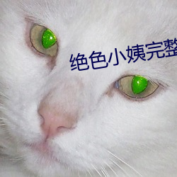 绝色小姨完整