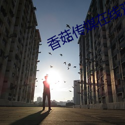 香菇传媒在(在)线观看满(滿)18