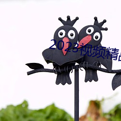 2023视频(頻)精(精)品(品)全部(部)