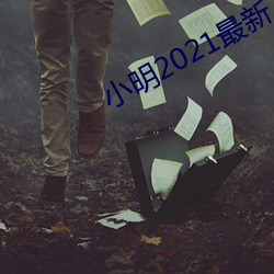 小明2021最新 （热障）