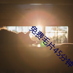 免费(費)毛片(片)45分(分)钟
