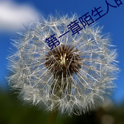 第一章陌生(shēng)人的入侵诗晴(qíng)
