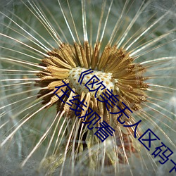 欧美无人区(q)码卡二三卡四卡(kǎ)》高清(qng)无(wú)删(shān)减全集在线(xin)观(guān)看