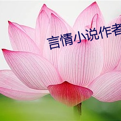 言情小说作者 （整形）