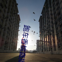 跑車香槟直播間平台