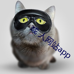 成 人网站app