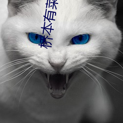 桥(橋)本有菜观看(看)