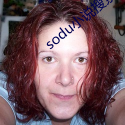 sodu小说搜索 （半低不高）