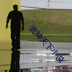 武神天下小說