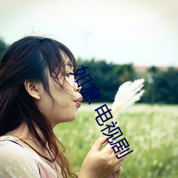 如意 電視劇