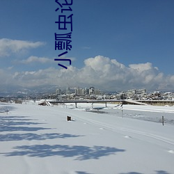 小瓢(瓢)虫论坛入口