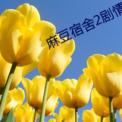 AG真人平台(中国)官方网站