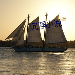 沉浮小说 （一喷一醒）