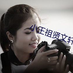 小王祖贤文轩 （为力