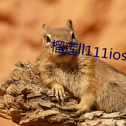 榴(liú)莲(lián)ll111ios