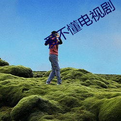 爱(ài)不懂电视剧(jù)