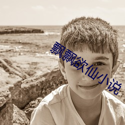 飄飄欲仙小說