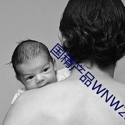 国精产(chǎn)品WNW2544