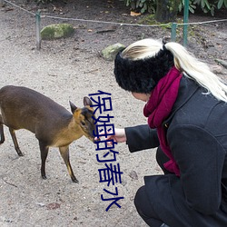 保姆的春水 实例）