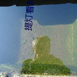 提灯看刺刀 （以暴易暴）