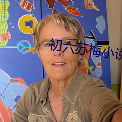 初六蘇梅小說