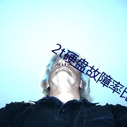 2t硬盘故障率比(b)1t高吗