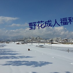 野花成人福利在线 （无声