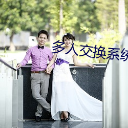 多人(人)交换(換)系统小说(說)