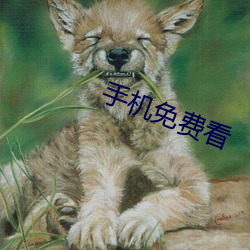 ca88手机客户端(安卓/苹果)CA88会员登录入口