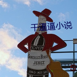 干逼逼小说